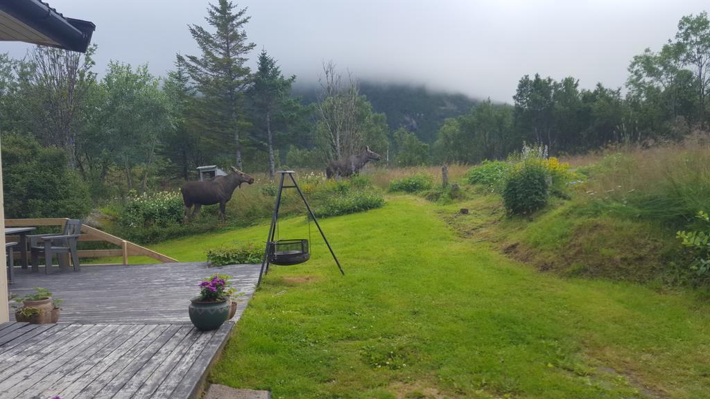 Holiday Home Lofoten Lyngvaeret ภายนอก รูปภาพ