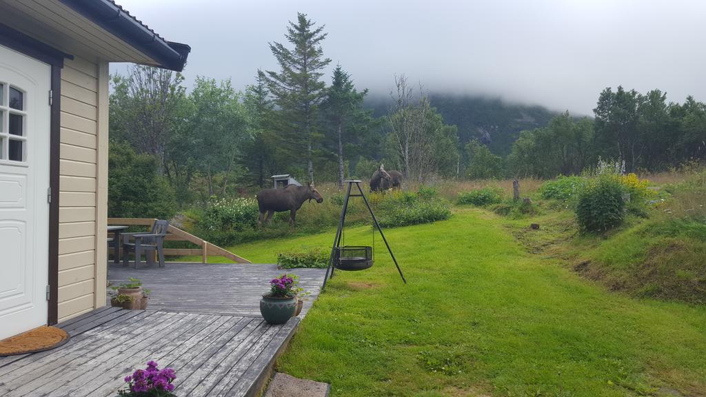 Holiday Home Lofoten Lyngvaeret ภายนอก รูปภาพ